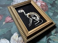 Image 5 of Cat Skeleton (A) Framed Embellished Embroidery Striped Frame