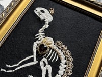 Image 3 of Cat Skeleton (B) Framed Embellished Embroidery