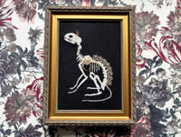 Image 1 of Cat Skeleton (B) Framed Embellished Embroidery