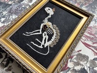 Image 2 of Cat Skeleton (B) Framed Embellished Embroidery