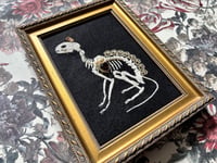 Image 5 of Cat Skeleton (B) Framed Embellished Embroidery