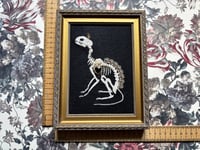 Image 8 of Cat Skeleton (B) Framed Embellished Embroidery