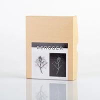 Bergger PrintFilm (4x5 to 20x24 sheets and rolls)