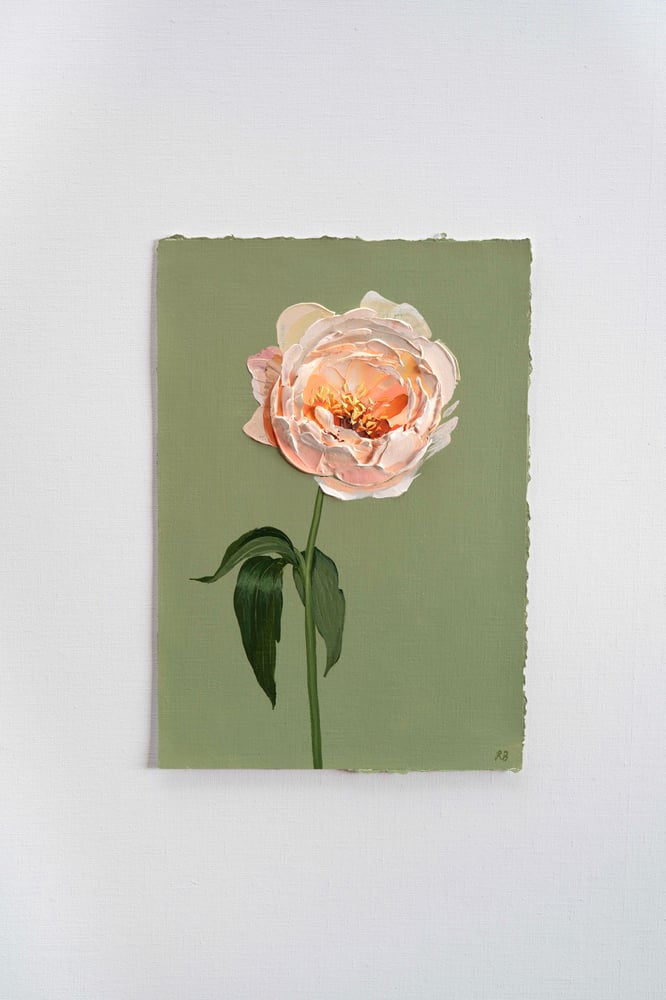 Image of Kings Day Peony