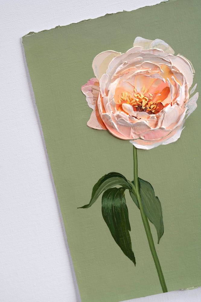 Image of Kings Day Peony