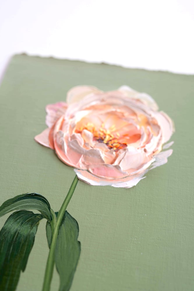 Image of Kings Day Peony