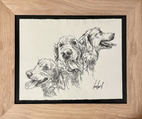 Image 5 of Animal portraits / Vos portraits d'Animaux