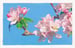Image of Apple Blossom Painting