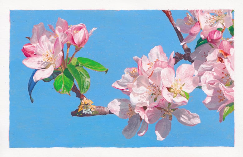 Image of Apple Blossom Painting