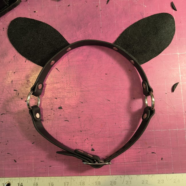 Puppy Ears