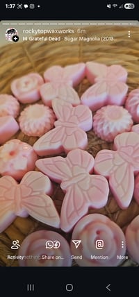 Image 2 of Sugar Magnolia-A Rocky Top Wax Works exclusive custom houseblend fragrance 