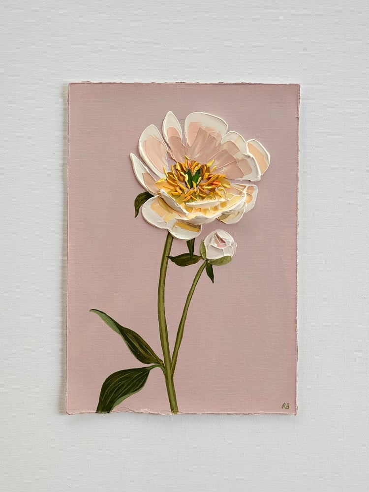 Image of Coral Charm Peony
