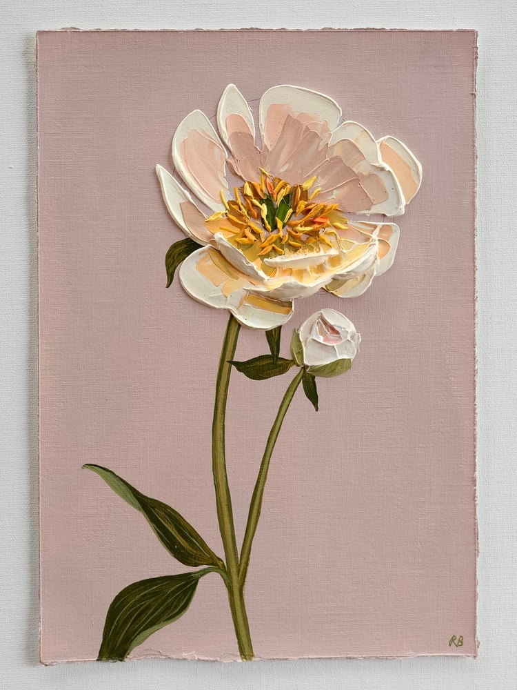 Image of Coral Charm Peony