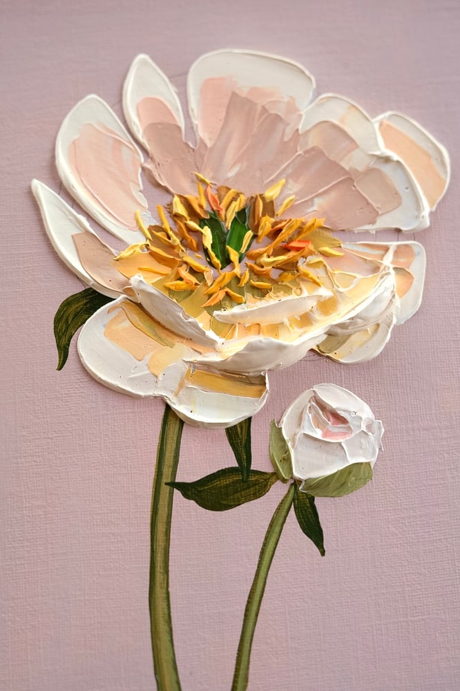 Image of Coral Charm Peony