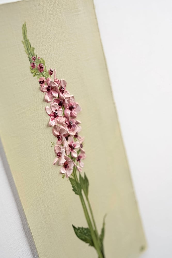 Image of Verbascum Southern Charm