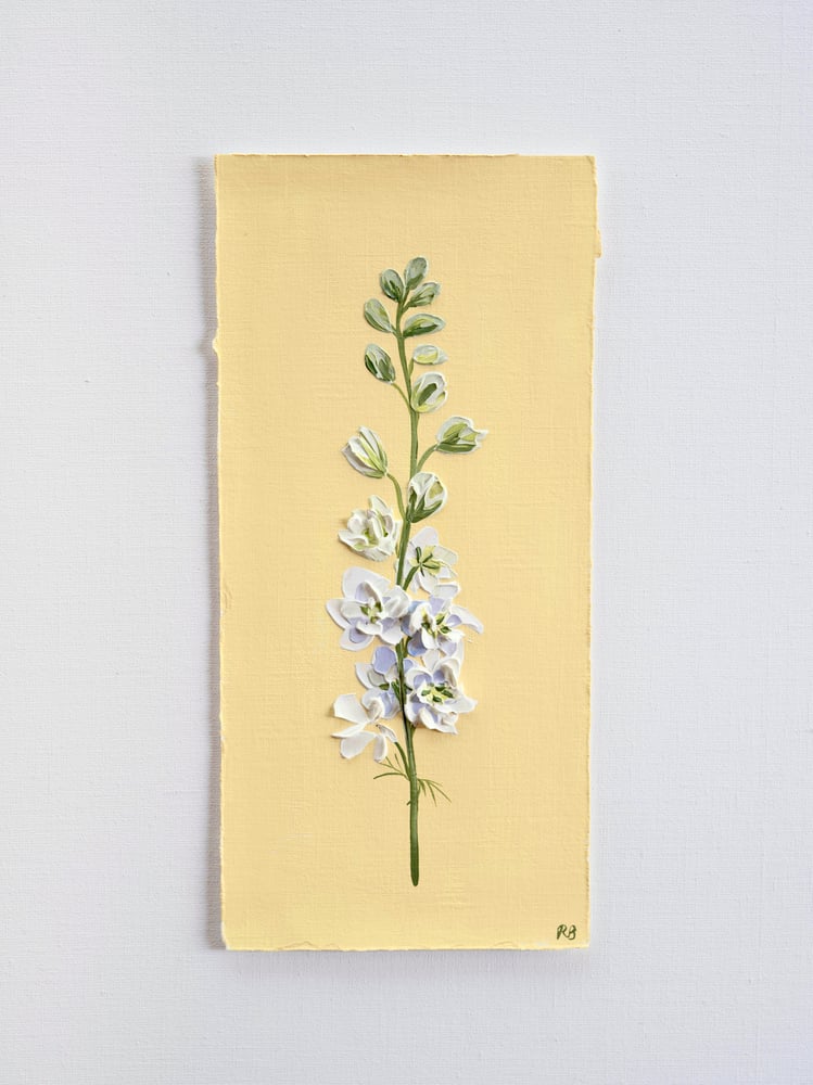 Image of  Larkspur White Wedding