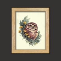 Image 3 of Sagebrush Sentinel - Burrowing Owl
