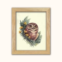 Image 2 of Sagebrush Sentinel - Burrowing Owl