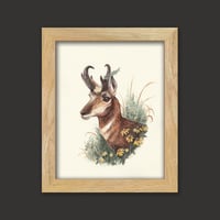 Image 3 of With Wild Abandon - Pronghorn