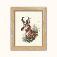 Image 2 of With Wild Abandon - Pronghorn