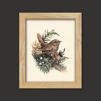 Image 3 of Pacific Wren With Lichen
