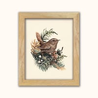 Image 2 of Pacific Wren With Lichen