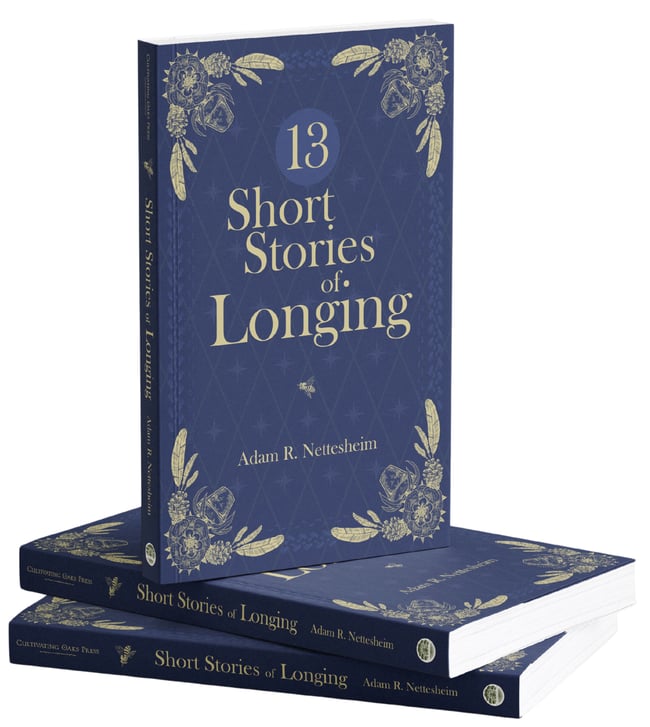 13 Short Stories of Longing 