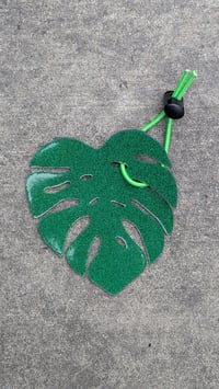Monstera Relector