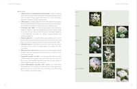 Image 3 of In Nature's Slipstream: How to Turn Your Garden into a Haven for Nature