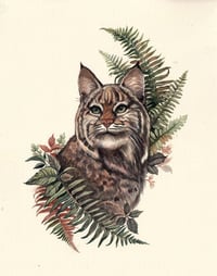 Untamed Love - Bobcat Original Watercolor Painting