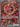 Oricorio ex - 024 - ME: Mega Evolution Promo - Near Mint