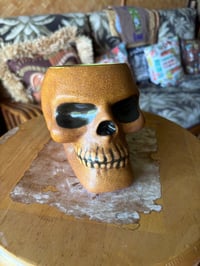 Image 1 of Monstera Skull