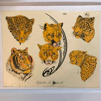 Image 1 of 1994 Apache Jil Hand colored production flash big cats 11x14