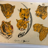 Image 2 of 1994 Apache Jil Hand colored production flash big cats 11x14