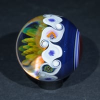 Image 5 of Argent Radiant