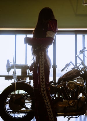 Image of Toxic Vision Red Racer chaps