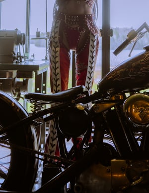 Image of Toxic Vision Red Racer chaps