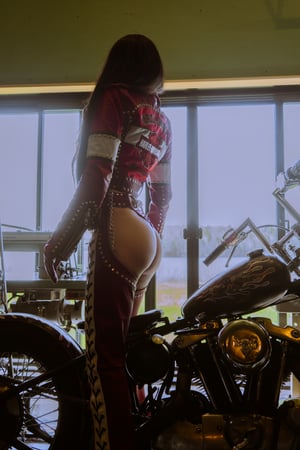 Image of Toxic Vision Red Racer chaps