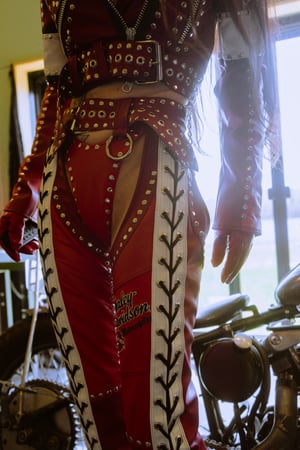 Image of Toxic Vision Red Racer chaps