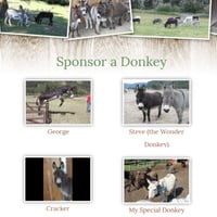 Image 4 of Donkey Sponsorship - Digital Instant Download