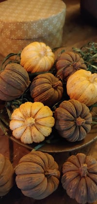 Image 2 of Beeswax Pumpkin Bowl Fillers