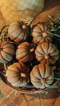 Image 3 of Beeswax Pumpkin Bowl Fillers