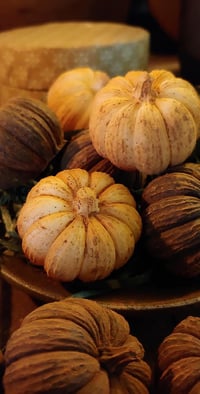 Image 1 of Beeswax Pumpkin Bowl Fillers