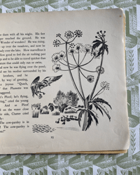 Image 10 of  Ploof the duck a Père Castor book