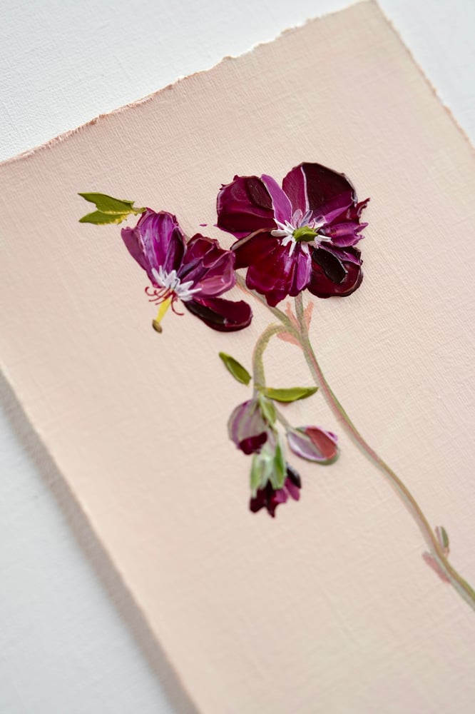 Image of Geranium Samabor