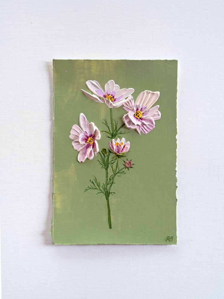 Image of Cosmos Bipinnatus Apricotta 