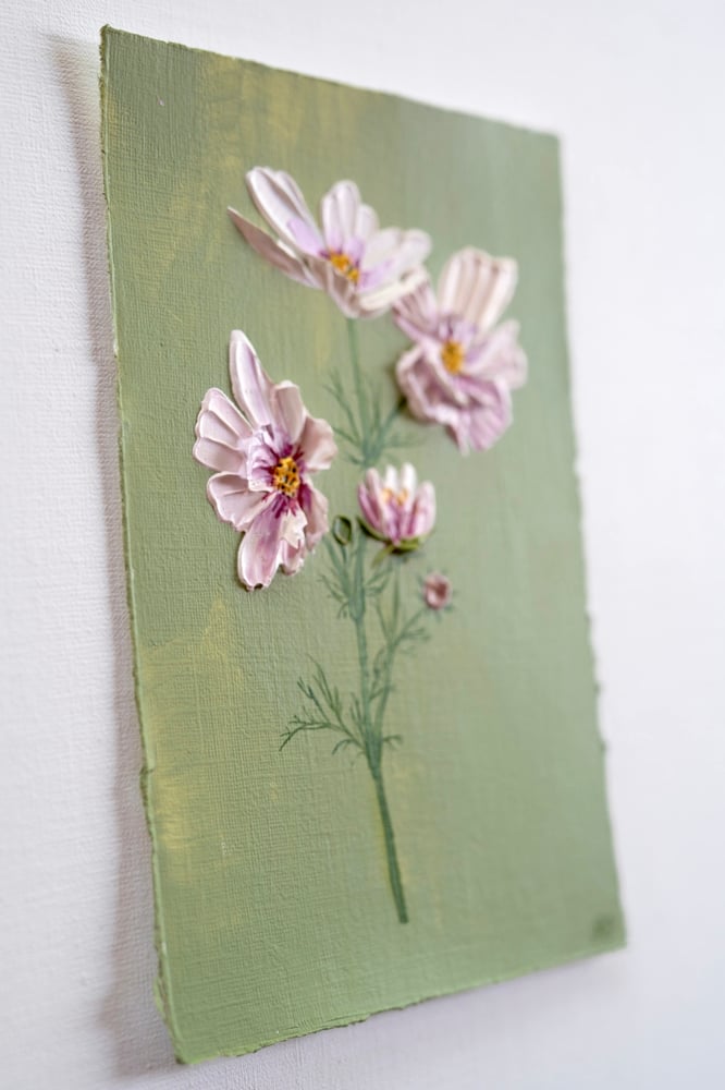 Image of Cosmos Bipinnatus Apricotta 