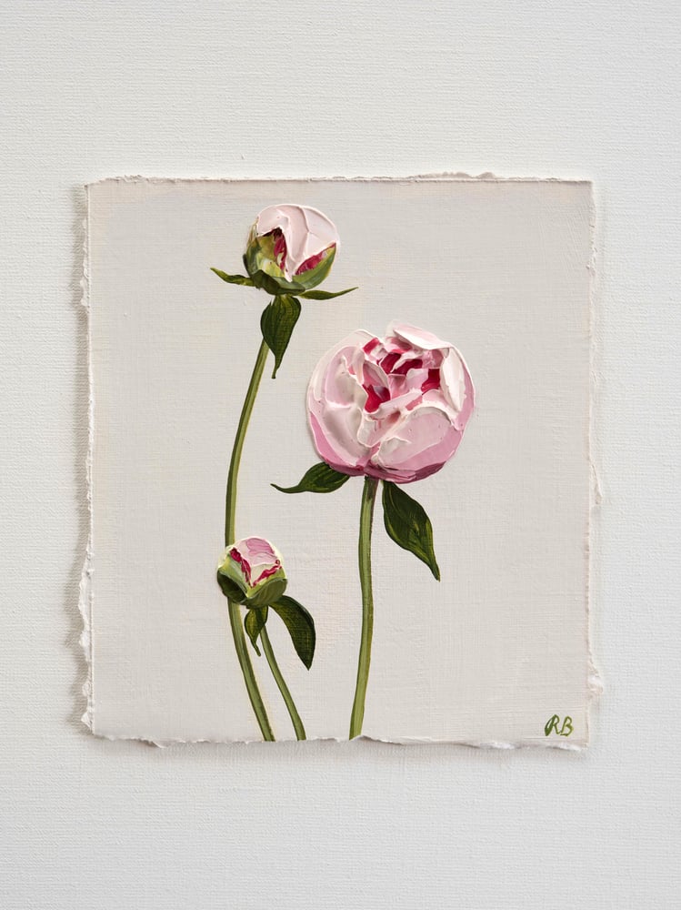 Image of Peony Sarah Bernhardt 