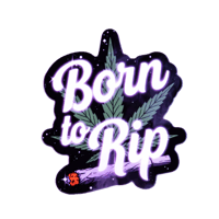 Image 1 of 🌬️ RIP COLLECTION 3"