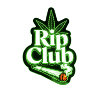Image 6 of 🌬️ RIP COLLECTION 3"